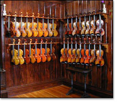 violin collection